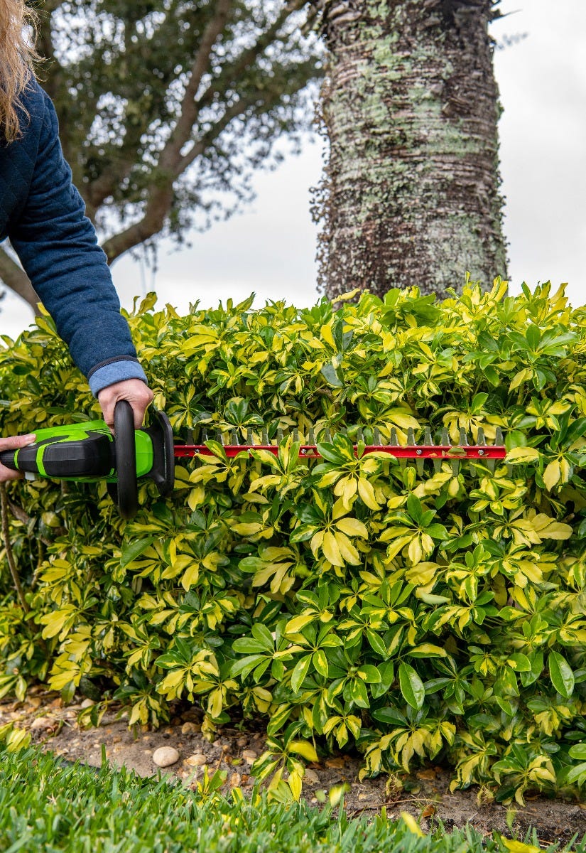 24-Volt 22" Hedge Trimmer with Battery and Charger | 24H20