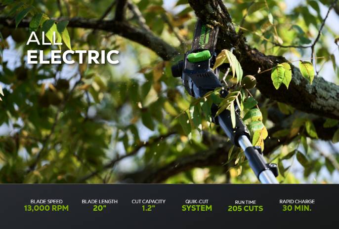 82V Polesaw with Split Shaft Tool-Only | 82PS10