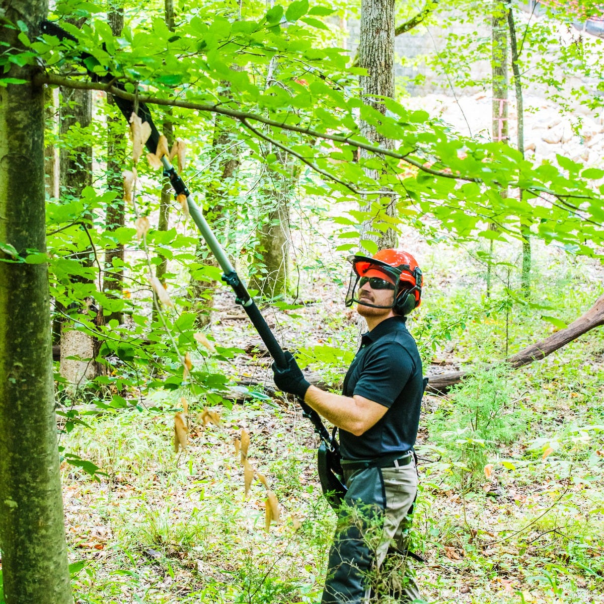 82-Volt 10" Pole Saw Tool Only | GS100