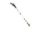 48V/24V Dual-Volt 8" Pole Saw with Battery and Charger | 48PS8