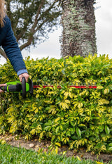 24-Volt 22" Hedge Trimmer with Battery and Charger | 24H20
