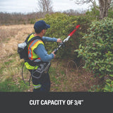 Kit taille-haie sur perche 82 V