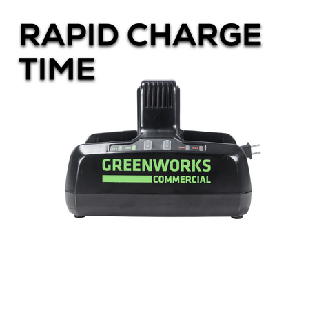 Chargeur à deux ports 82 V | 82DPC8A