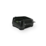 82V 4 Amp Rapid Charger | GC400